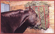 hay rack for horses