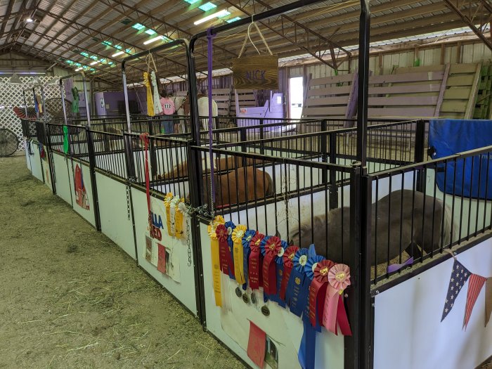 Mini Horse Stalls Lucas County Fairgrounds