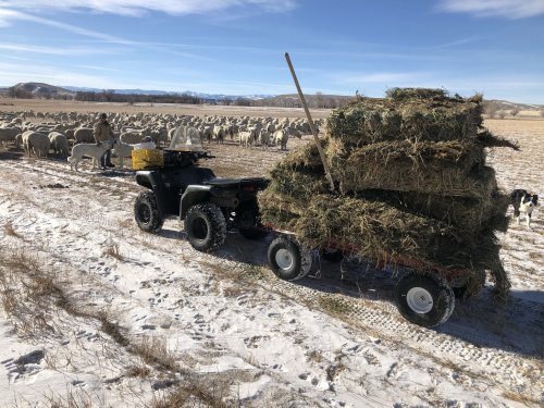 ATV Wagon Loaded with Hay